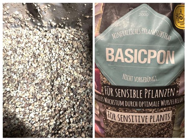 Лечуза Basic PON