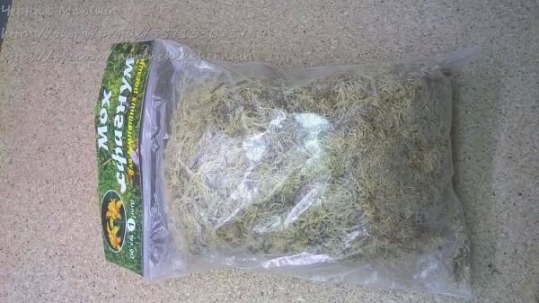 Мох (упаковка)